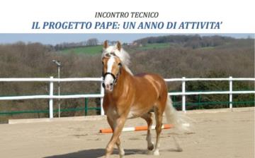 IL PROGETTO PAPE: UN ANNO DI ATTIVITA’